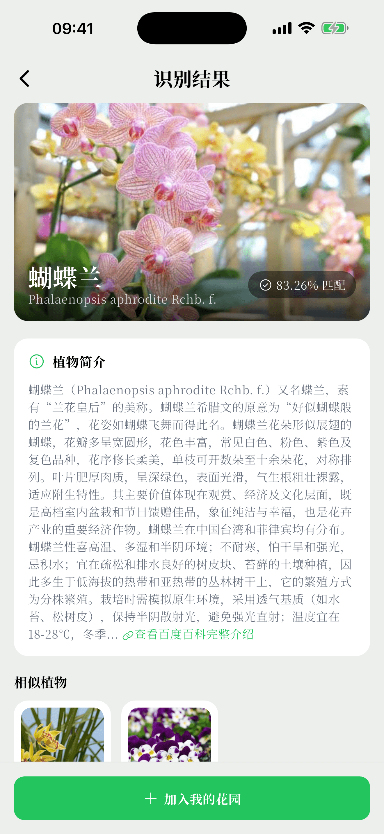 植迹拍照识别植物