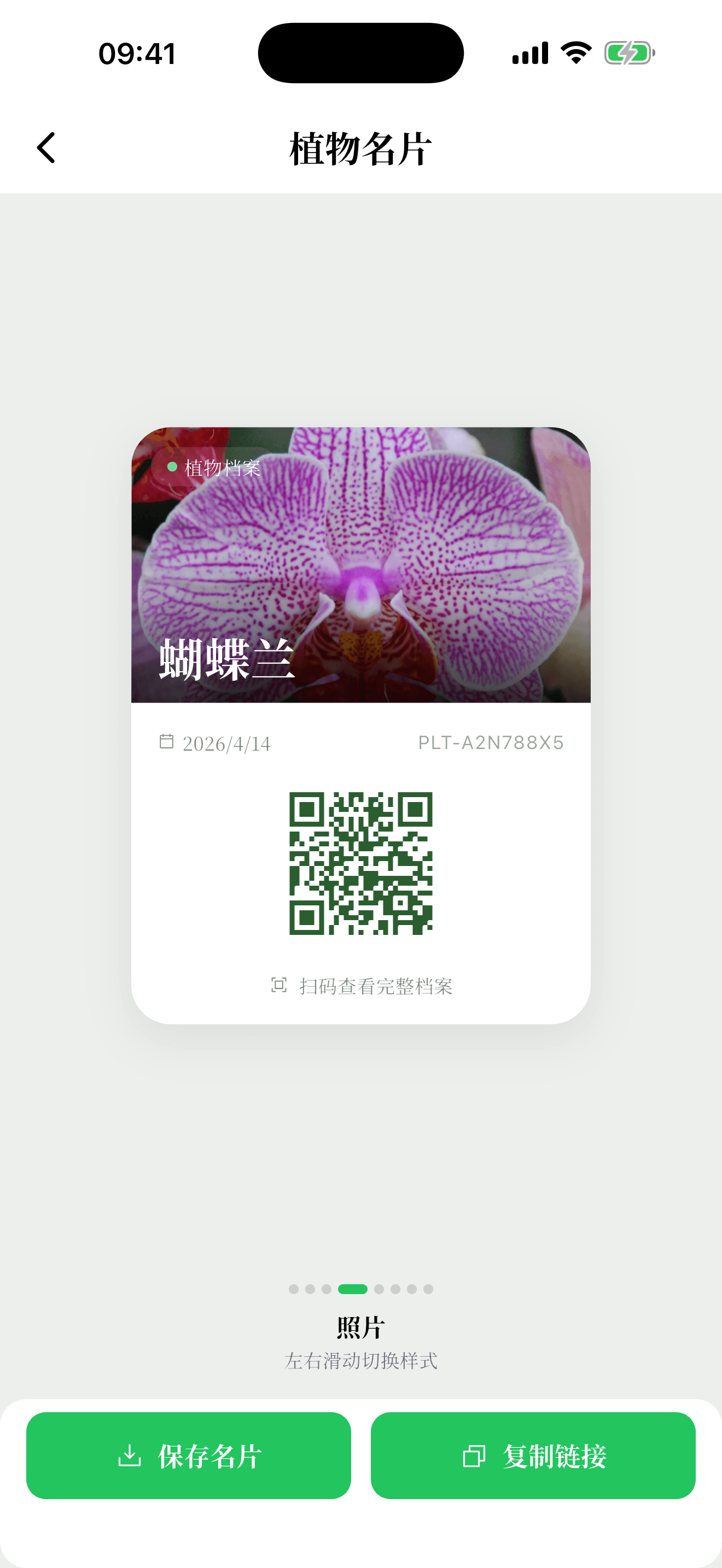 植迹植物名片
