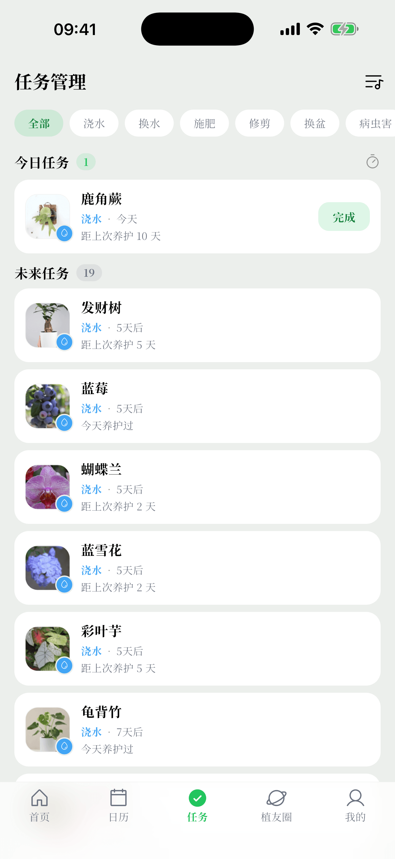 植迹今日养护任务