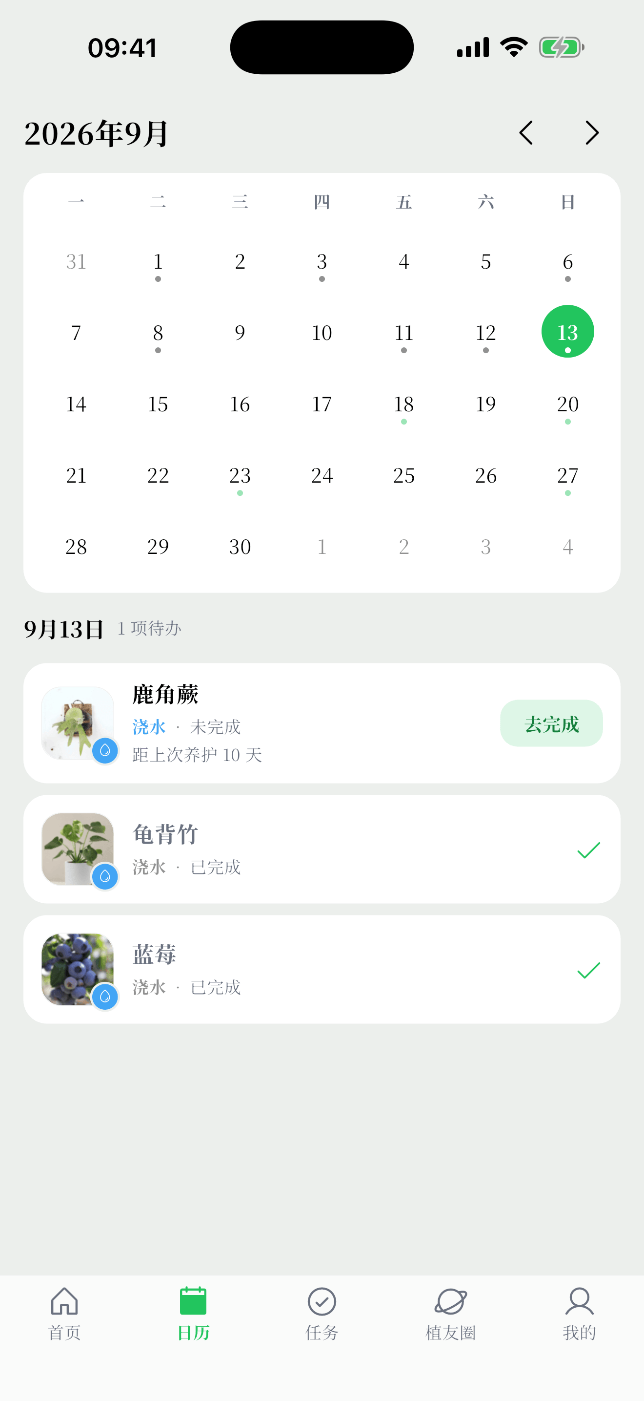 植迹养护日历